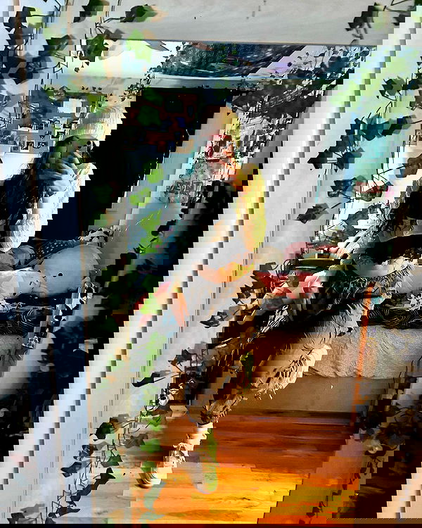 _animechika_ _animechika_ archive image