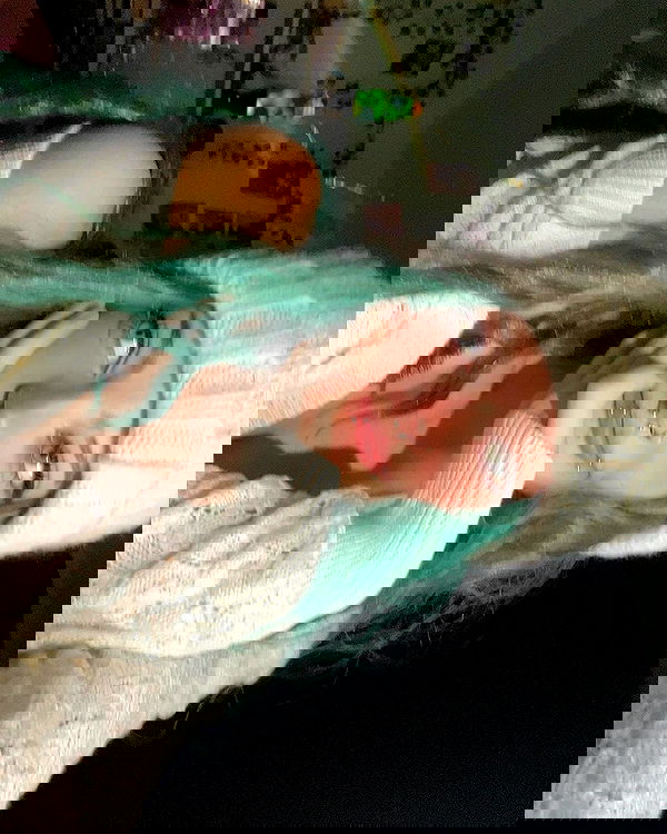 _animechika_ _animechika_ archive image