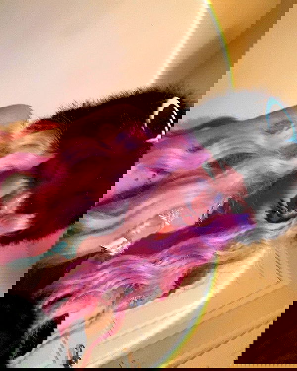 _animechika_ _animechika_ archive image