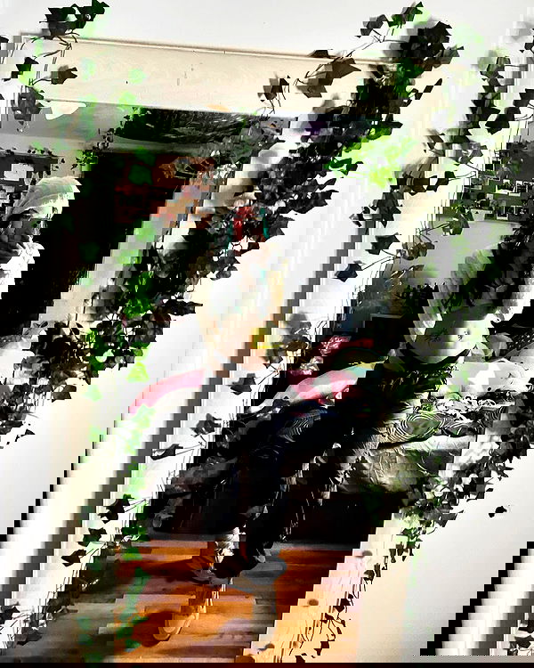 _animechika_ _animechika_ archive image