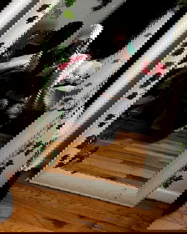 _animechika_ _animechika_ archive image