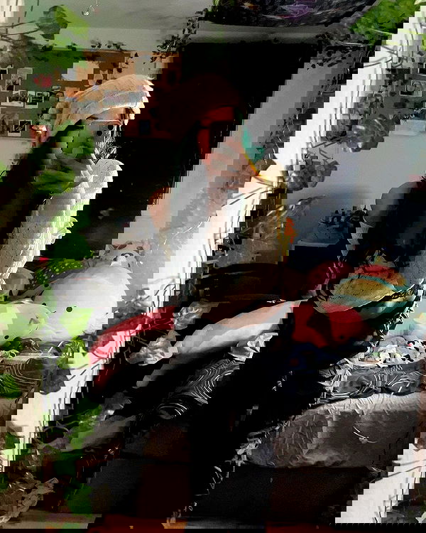 _animechika_ _animechika_ archive image