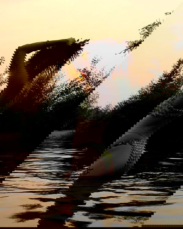 _animechika_ _animechika_ archive image