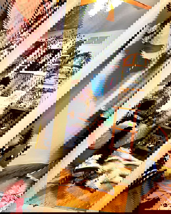 _animechika_ _animechika_ archive image