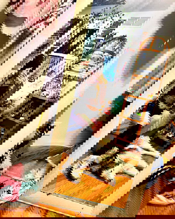 _animechika_ _animechika_ archive image