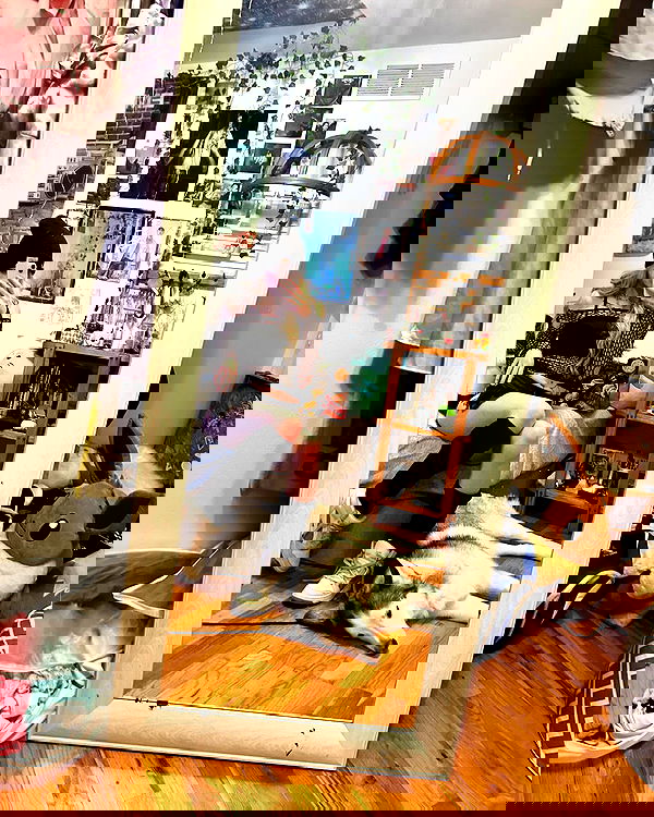 _animechika_ _animechika_ archive image