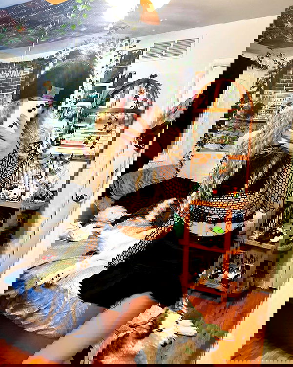 _animechika_ _animechika_ archive image