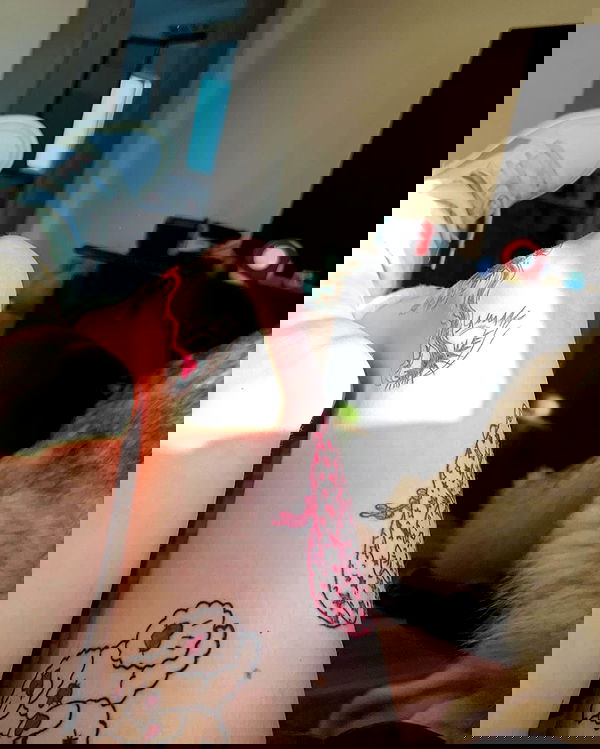 _animechika_ _animechika_ archive image