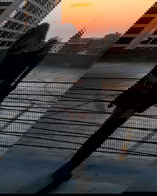 _animechika_ _animechika_ archive image