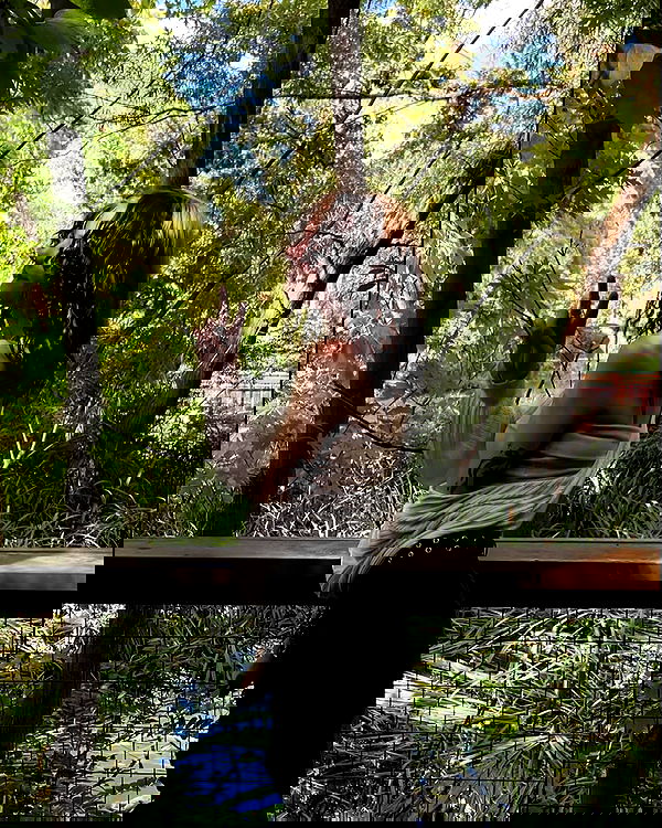 _animechika_ _animechika_ archive image