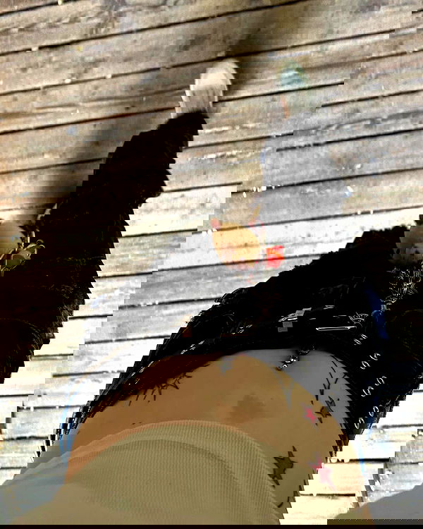 _animechika_ _animechika_ archive image