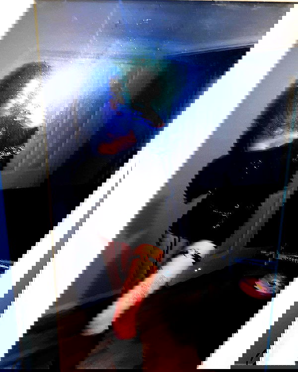 _animechika_ _animechika_ archive image