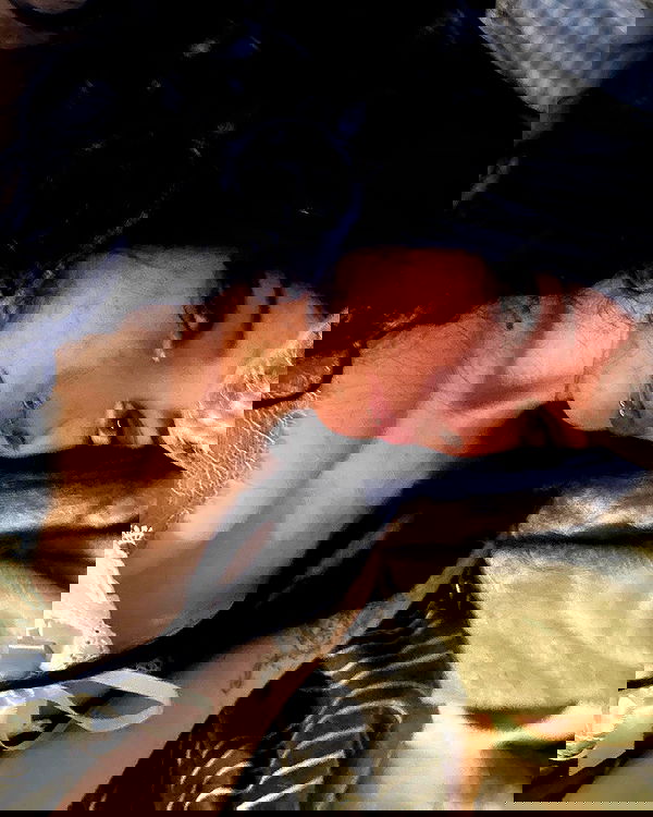 _animechika_ _animechika_ archive image