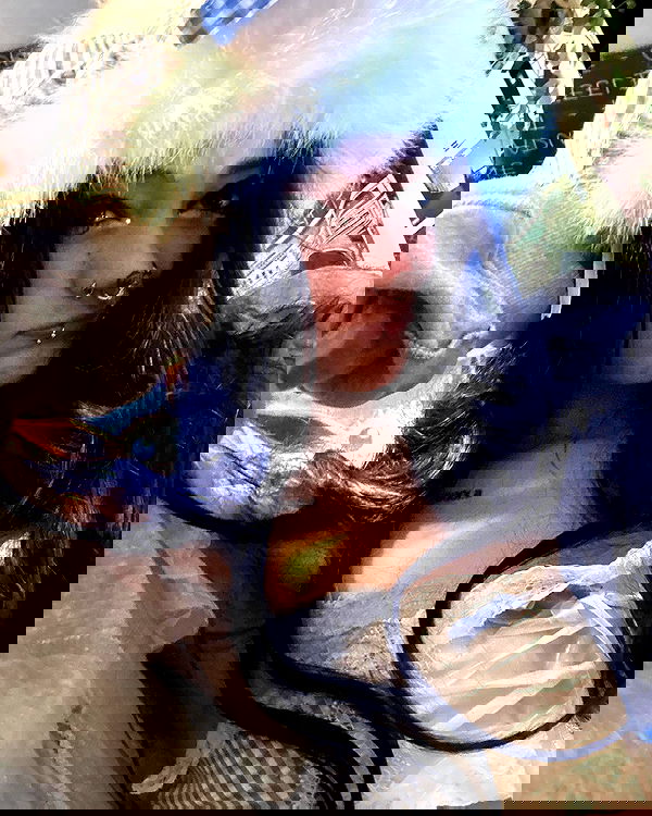 _animechika_ _animechika_ archive image