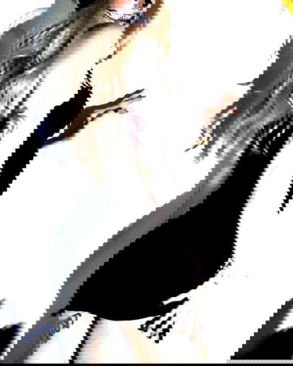 _animechika_ _animechika_ archive image