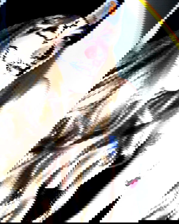 _animechika_ _animechika_ archive image