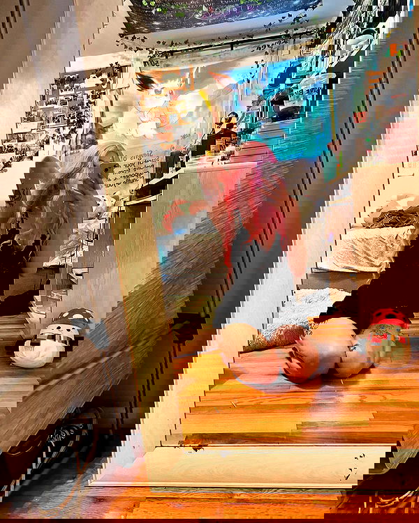 _animechika_ _animechika_ archive image