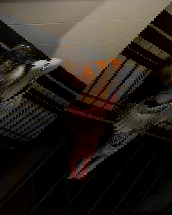 _animechika_ _animechika_ archive image