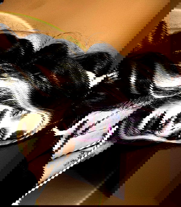 _animechika_ _animechika_ archive image