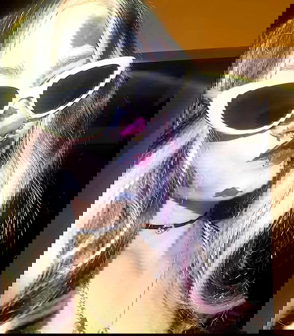 _animechika_ _animechika_ archive image