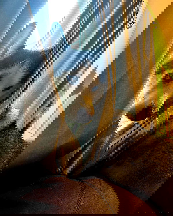 _animechika_ _animechika_ archive image