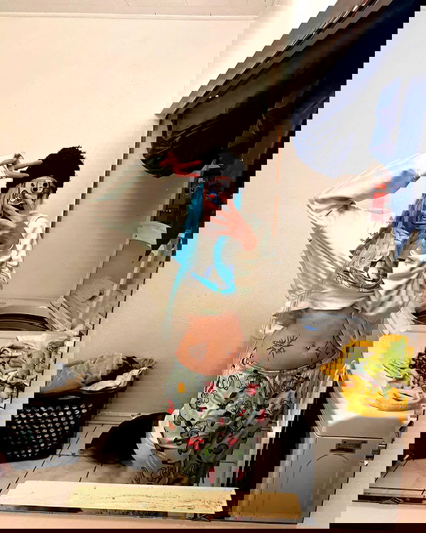 _animechika_ _animechika_ archive image