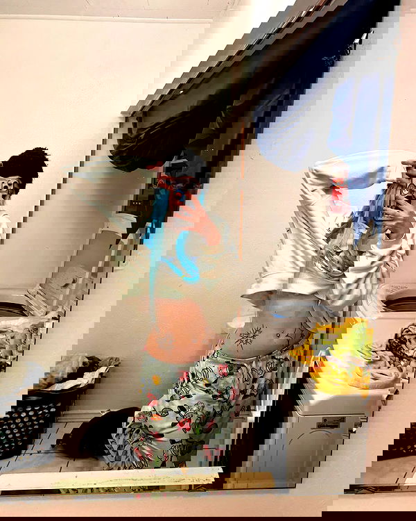 _animechika_ _animechika_ archive image