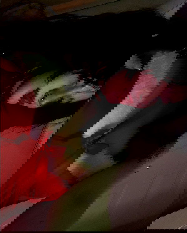 _animechika_ _animechika_ archive image