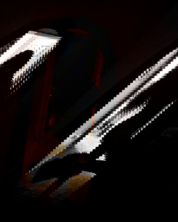 _animechika_ _animechika_ archive image