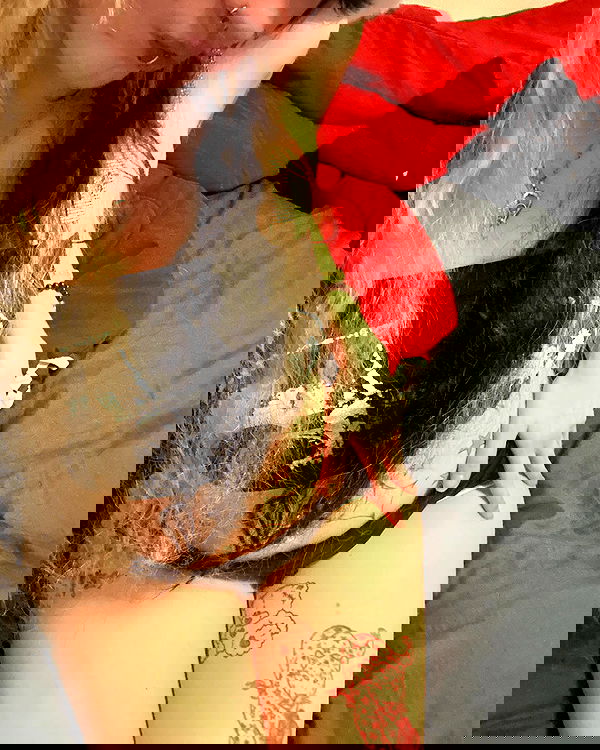 _animechika_ _animechika_ archive image