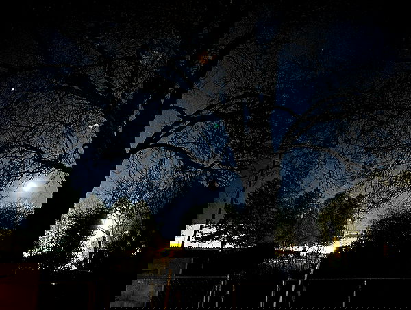 _animechika_ _animechika_ archive image