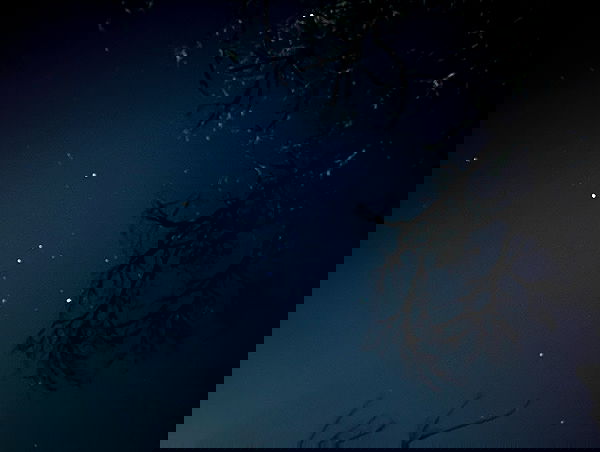 _animechika_ _animechika_ archive image