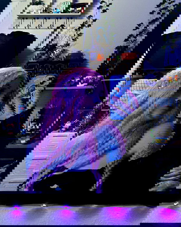 _animechika_ _animechika_ archive image