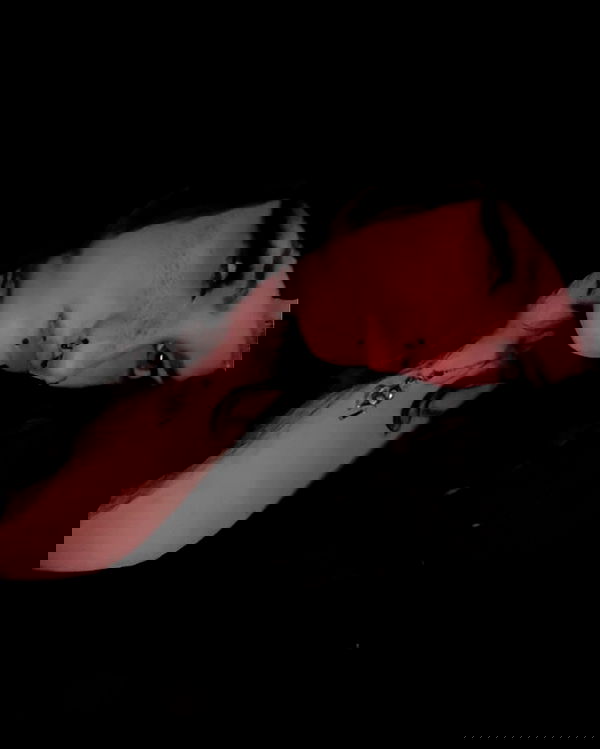 _animechika_ _animechika_ archive image