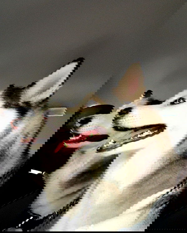 _animechika_ _animechika_ archive image