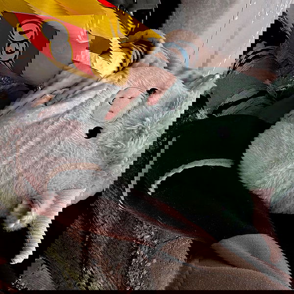 _animechika_ _animechika_ archive image