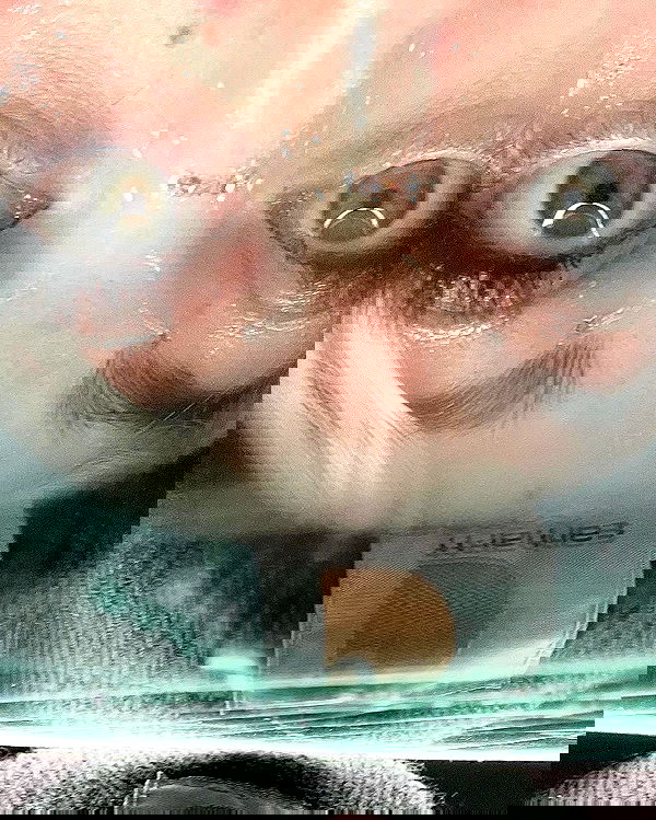 _animechika_ _animechika_ archive image