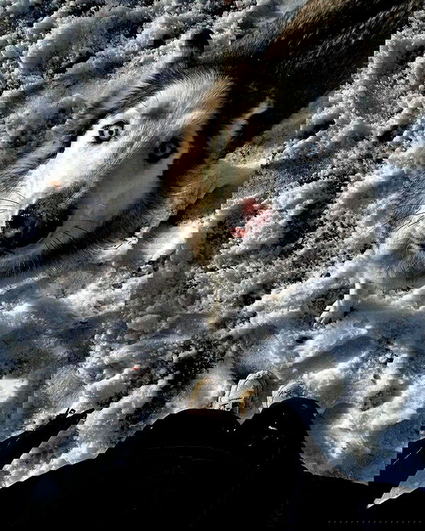 _animechika_ _animechika_ archive image