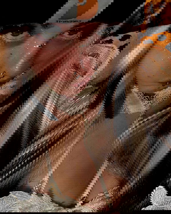 _animechika_ _animechika_ archive image