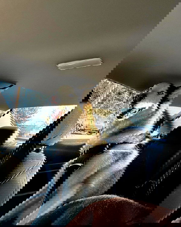 _animechika_ _animechika_ archive image