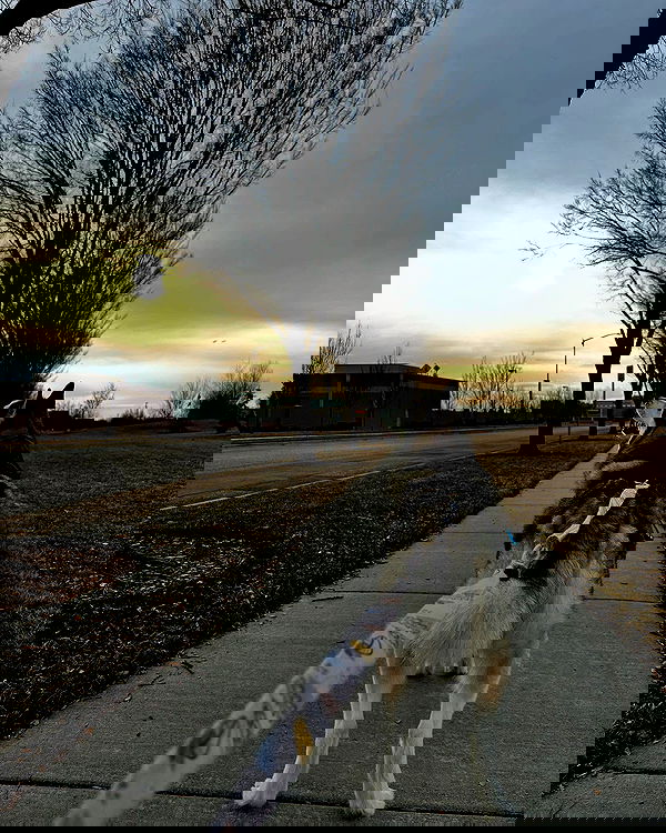 _animechika_ _animechika_ archive image