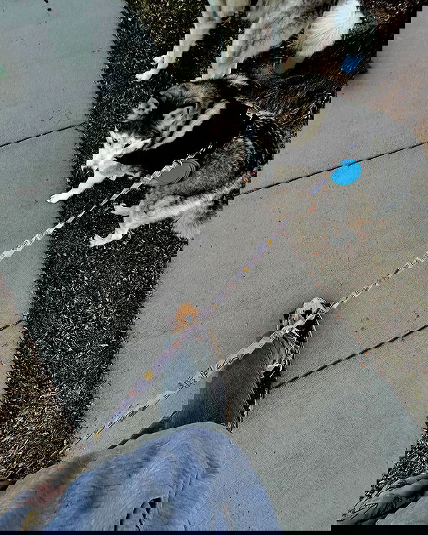 _animechika_ _animechika_ archive image