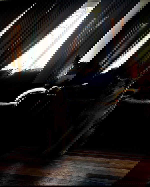 _animechika_ _animechika_ archive image