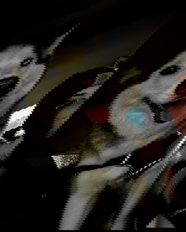 _animechika_ _animechika_ archive image