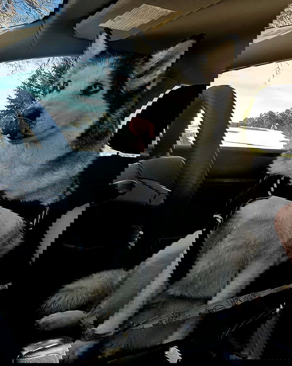 _animechika_ _animechika_ archive image