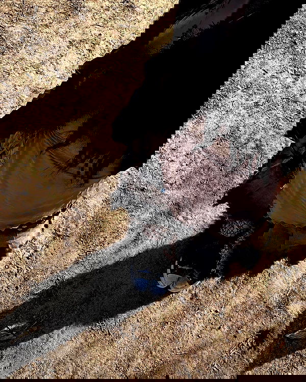 _animechika_ _animechika_ archive image