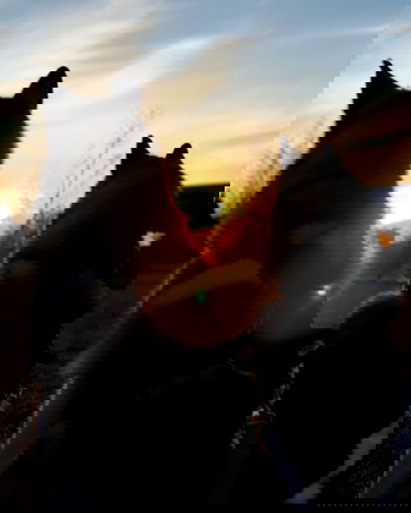 _animechika_ _animechika_ archive image