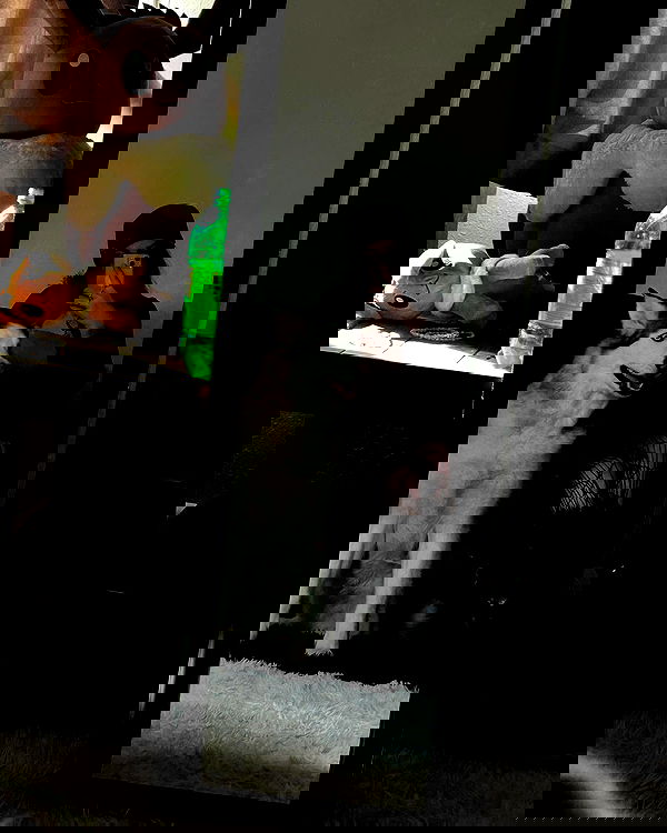 _animechika_ _animechika_ archive image