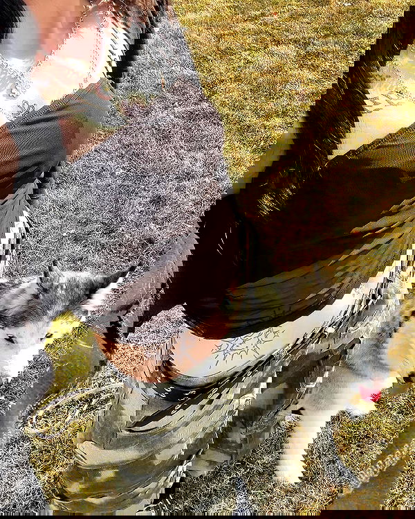 _animechika_ _animechika_ archive image