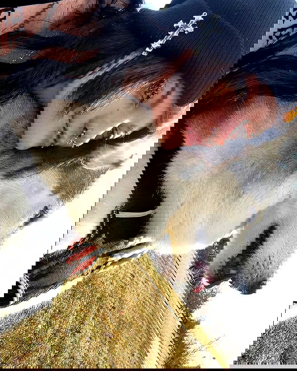 _animechika_ _animechika_ archive image